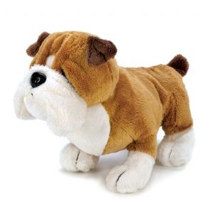 CWebkinz™ Bulldog Plush  - Click To Enlarge